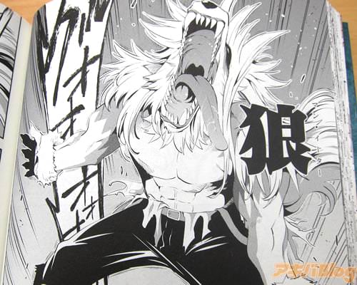 「(忌み嫌われしもの。完全無欠な悪役。全ての罪を背負う敵。これが…統夜の…狼)」