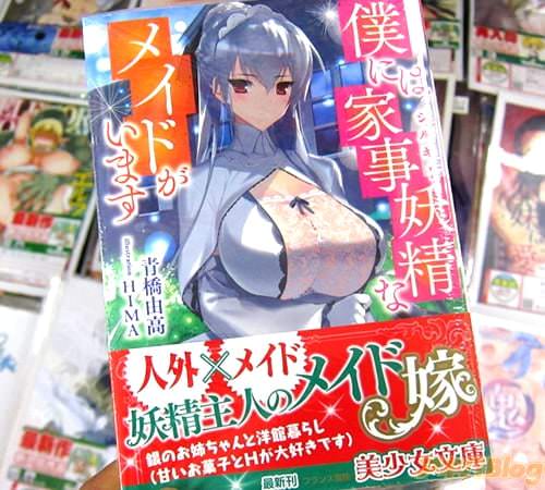 著:青橋由高氏のエロラノベ「僕には家事妖精(シルキー)なメイドがいます」