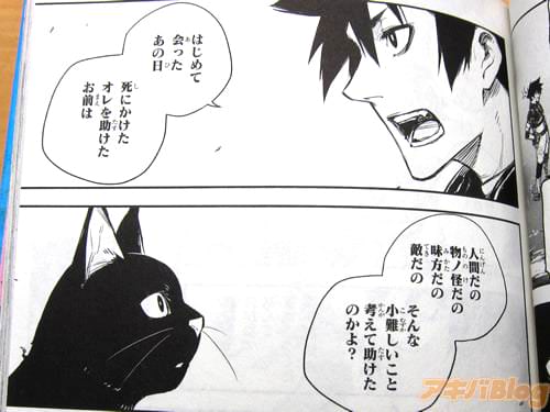 「死にかけたオレを助けたお前は、人間だの物ノ怪だの味方だの敵だの、そんな小難しいこと考えて助けたのかよ?」