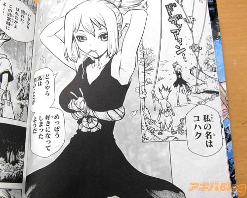 「私の名はコハク。どうやら私は君のことが、めっぽう好きになってしまったようだ」