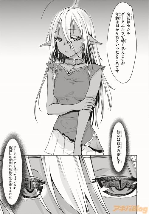 「ダークエルフと偽ってはいるが、絶滅した魔族の最後の生き残りなのだ」