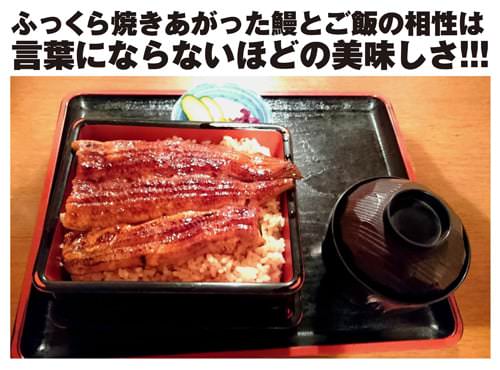 ふっくら焼きあがったうなぎとご飯の相性は言葉にならないほどの美味しさ!!!