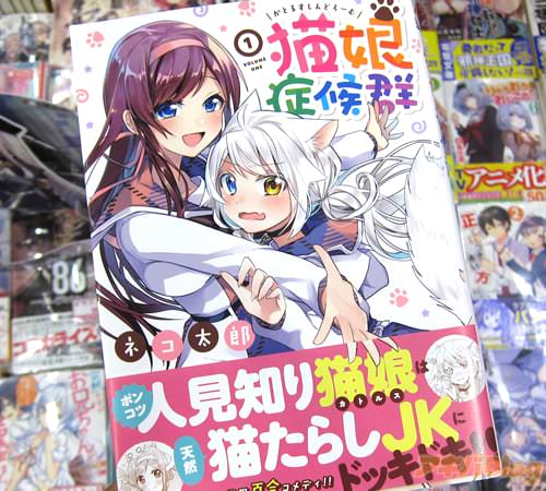 ネコ太郎「猫娘症候群」1巻
