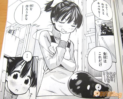 「さて…と、おナスとキュウリ…食材はこれだけ…何を作ろうかなー…」