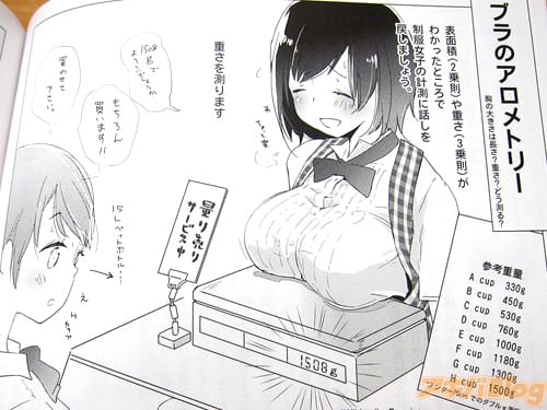 「ブラのアロメトリー 胸の大きさは長さ?重さ?どう測る?」