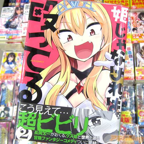 長岡太一氏のコミックス「姫じゃなければ殴ってる」最終2巻
