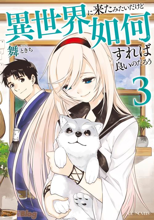 「異世界に来たみたいだけど如何すれば良いのだろう」3巻