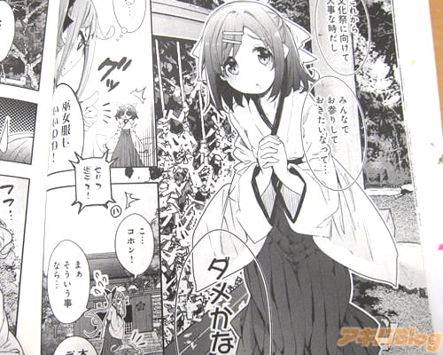 「これから文化祭に向けて大事な時だし、みんなでお参りしておきたいなって…」