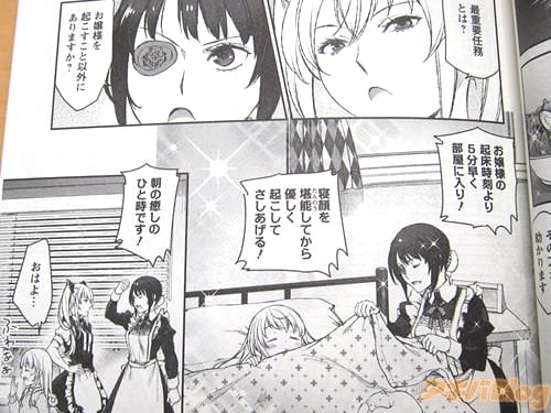 「お嬢様の起床時間より5分早く部屋に入り!寝顔を堪能してから優しく起こしてさしあげる!朝の癒やしのひと時です!」