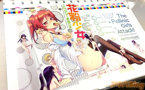 小梅けいと「花粉少女こんぷりーとBOX」