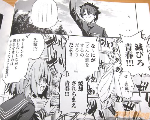 「滅びろ青春!な〜にがどんな恋をするのだろう――だよ!」