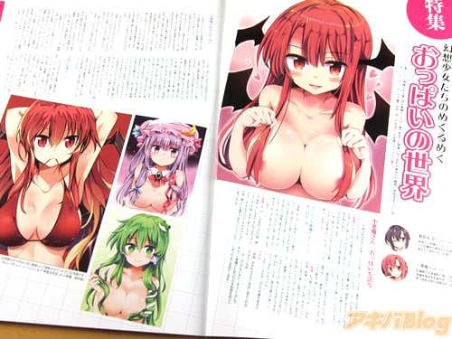 特集 幻想少女たちのめくるめくおっぱいの世界 「愛らしい幻想郷の住人達。<br>その素晴らしさの一端であること間違いなしなのが、彼女らの胸部に存在するふくらみ、<br>そう“おっぱい”だ。この書ではおっぱいの素晴らしさを語っていこうと思う」