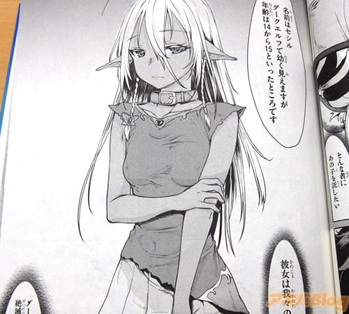 「魔法適性は高いですが体格的に戦闘には適していません。名前はセシル、年齢は14から15」
「(彼女は我々の愛し子、ダークエルフと偽ってはいるが絶滅した魔族の最後の生き残りなのだ)」