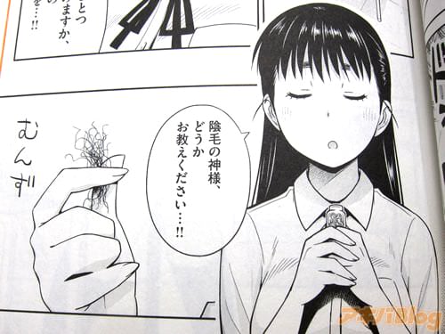ヒロインのJK・成毛川蒔乃は、“陰毛”に異常な関心を持つ妖怪“ちんげちらし”