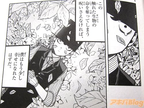 「この触れた生物の命を奪ってしまう呪いさえなければ、僕はもう少し幸せになれたはずだ」