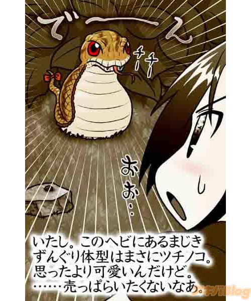 あの有名な未確認生物「ツチノコ」も満を持して登場!
毒を持っているとかいないとか・・・?謎が謎を呼びます!!