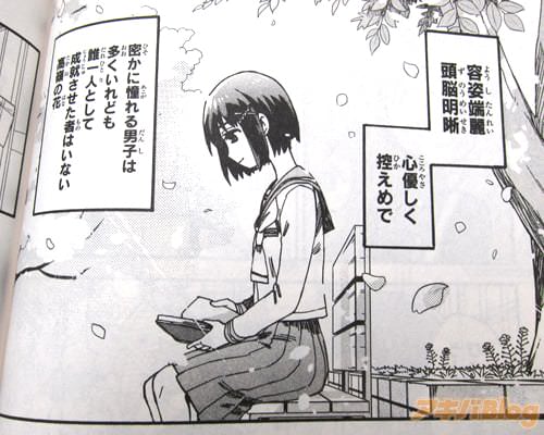 「容姿端麗頭脳明晰、心優しく控えめで、密かに憧れる男子は多くいれども誰一人として成就させた者はいない高嶺の花」