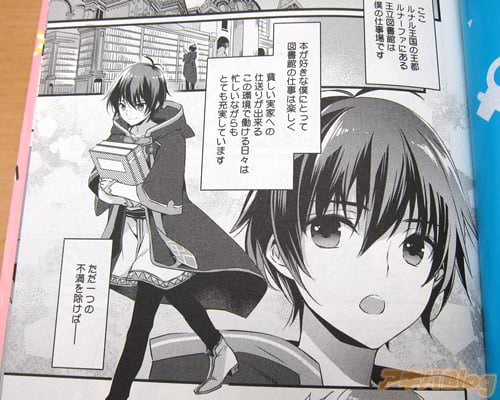 「(ここ、ルナル王国の王都ルナーファにある王立図書館は僕の仕事場です)」