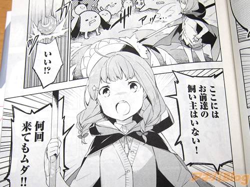 「いい!?ここにはお前達の飼い主はいない!何回来てもムダ!!」