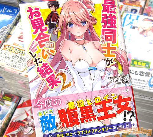 著者:菱川さかく イラスト:U35「最強同士がお見合いした結果」2巻