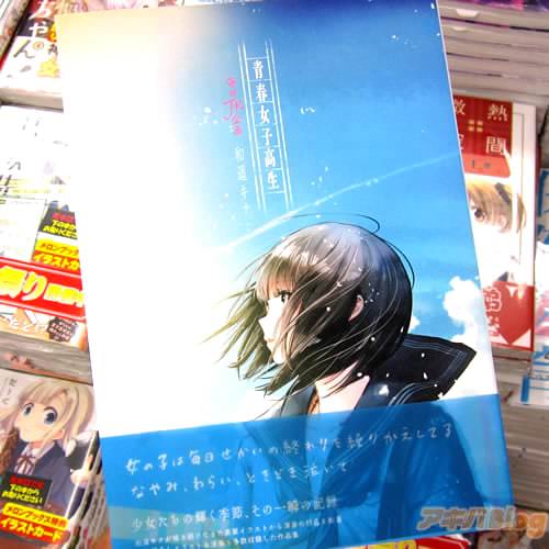 和遥キナ氏の作品集「青春女子高生 毎日JK企画」