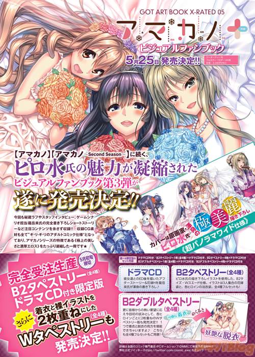 アマカノ+(プラス)ビジュアルファンブック