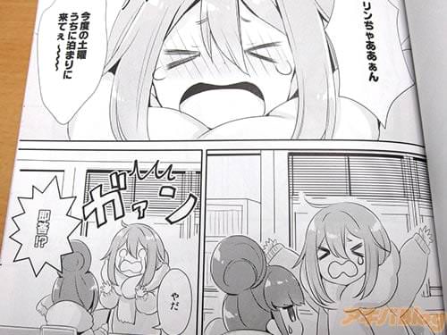 「リンちゃああぁん、今度の土曜うちに泊まりに来てぇ〜」「やだ」