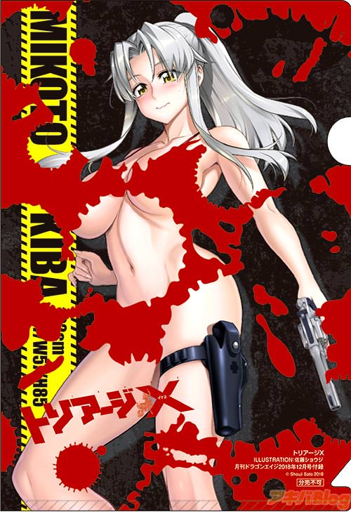 「ドラゴンエイジ」2018年12月号付録の「トリアージX」妄想クリアファイル