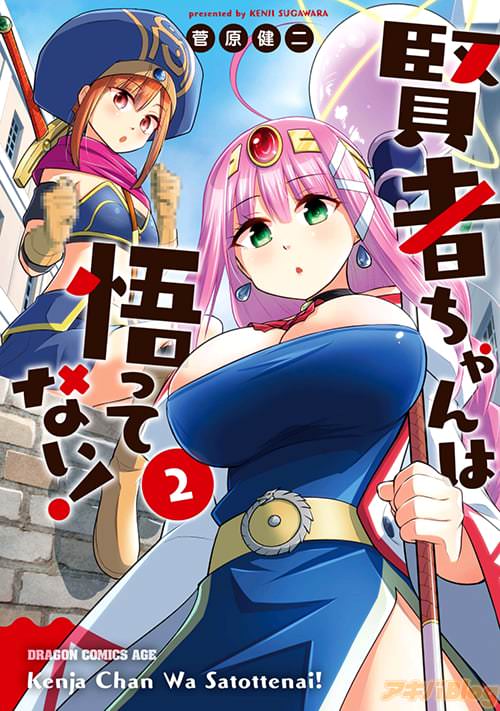 「賢者ちゃんは悟ってない!」2巻(作:菅原健二)
