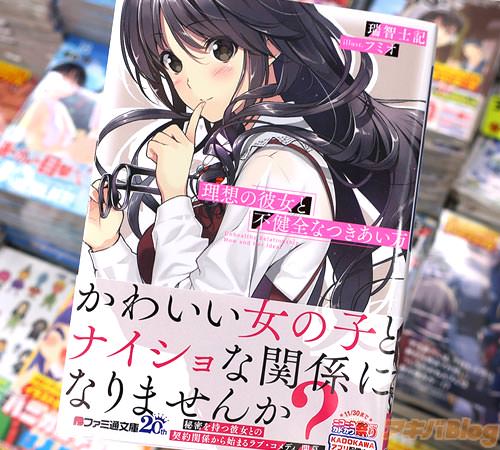 著:瑞智士記&イラスト:フミオ「理想の彼女と不健全なつきあい方」