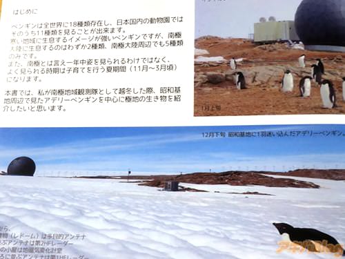はじめに 「本書では、私が南極地域観測隊として越冬した際、昭和基地周辺で見たアデリーペンギンを中心に極地の生き物を紹介したいと思います」