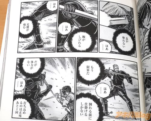 「(息が整わない。腕がしびれる。足腰が痛む。もう限界だ、倒れる前に仕掛けるしかない)」