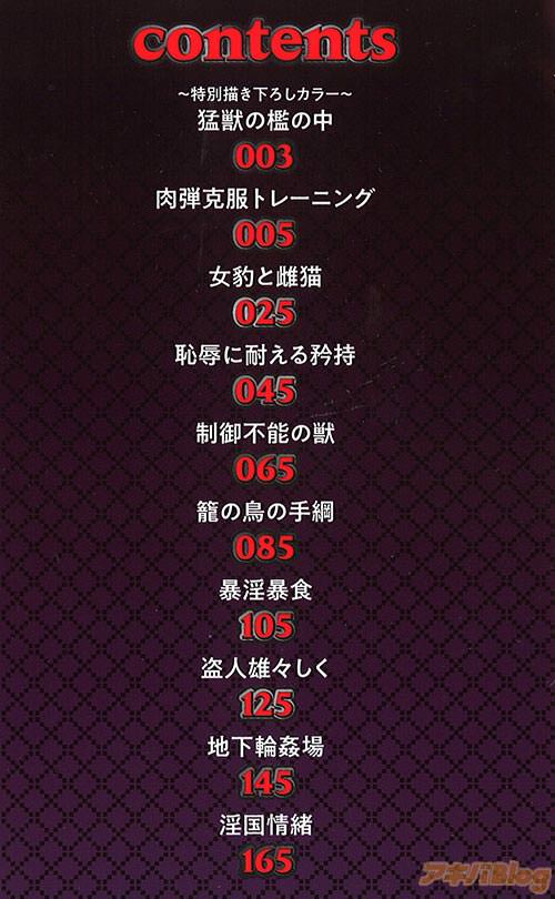 「才色拳備」の収録作