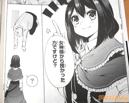 「女神様から授かった力ですけど?」