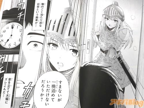 田舎に現れた異世界の女騎士・クリス 「すまないが一晩泊めていただけないだろうか?」
