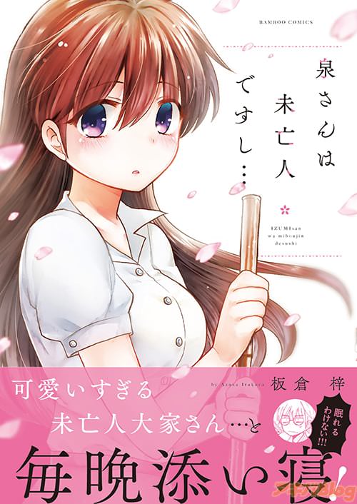板倉梓の「泉さんは未亡人ですし…」