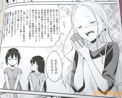 「飾らない無骨とも言える形でありながら機能美を損なわない成形と焼締めによる素朴さが相まってとても高い芸術性を出してますよね」