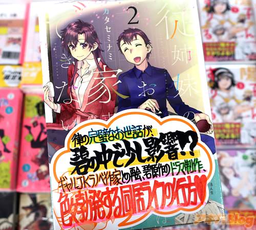 カタセミナミの漫画「従姉妹のお姉さんは家事ができない」2巻