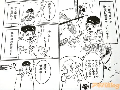 〈牛が大好きで、酪農従業員をしています。主な業務は牛の搾乳と子牛のお世話〉