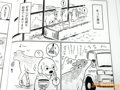 〈牛って実は、好奇心が旺盛〉