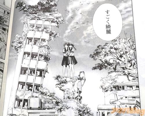 「すごく綺麗」