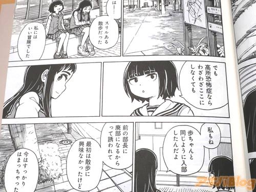 「はー…スリルある散歩だった」 「高所恐怖症ならわざわざここにしなくても」