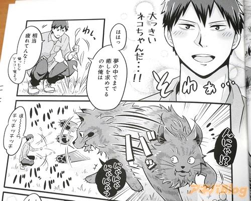 「(大っきいネコちゃんだ…!)」