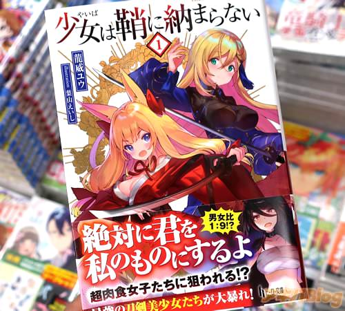著者:龍威ユウ&イラスト:葉山えいし「少女(やいば)は鞘に納まらない」1巻
