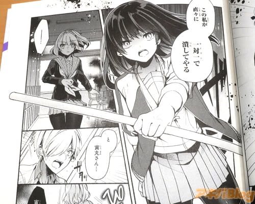 「この私が直々に潰してやる」