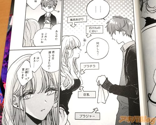 「…隣に越してきた者です。洗濯物が飛んできたのですが」