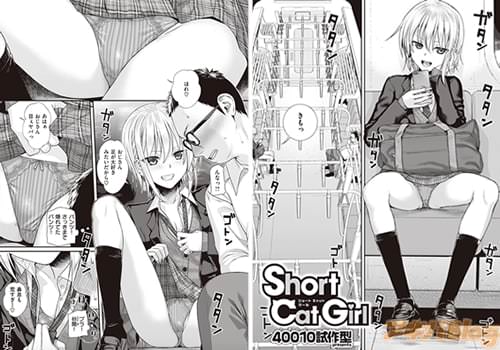 40010試作型先生 「Short Cat Girl」