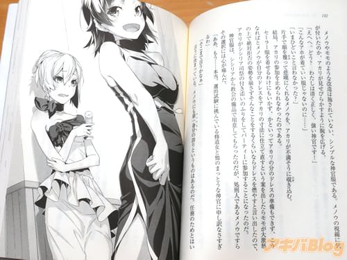 「えへへ。どう?わたしは清く正しく、強い神官です!」