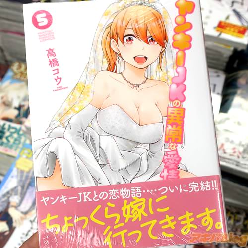 高橋コウの漫画「ヤンキーJKの異常な愛情」最終5巻