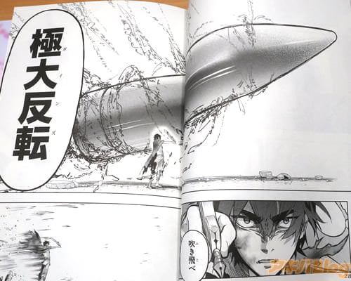 「記述式召喚魔法…極大反転(ガインズ)」